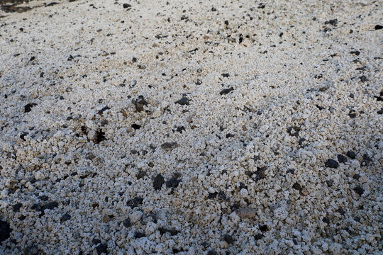 Popcorn Rocks on Playa del Mejillon, Fuerteventura, Canary Islands, Spain. 