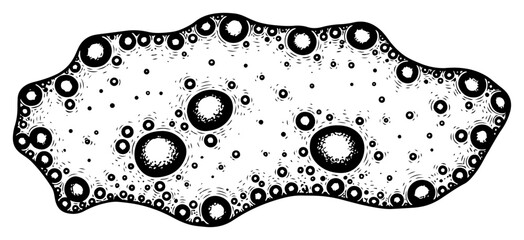 Hand drawn organic shape with craters and porous texture resembling a lunar surface © Logan