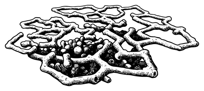 Hand drawn cross hatched sketch of an intricate ant colony tunnel system or subterranean nest
