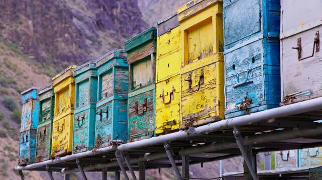 Numerous bees buzz around stacked, colorful beehives in a rural, arid mountain landscape. The scene captures a natural, busy atmosphere during daytime.