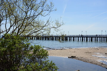 Molo nad morzem w tle chmury i kwitnące drzewa na wiosnę. © Marek