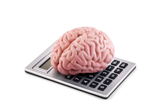 Human brain on calculator isolated on white background with clipping path