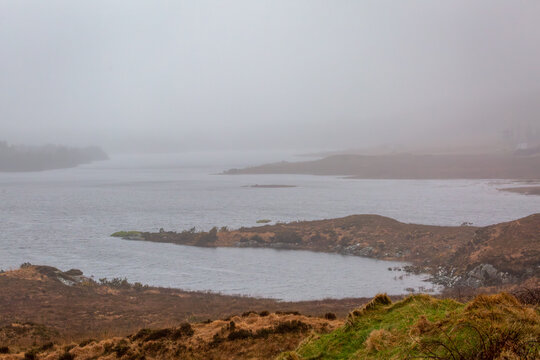 Moody landscape near Clifden, Connemara, Ireland, with misty lake and pine forest on a wet, rainy day. Irish peat bogs and dramatic weather. Minimalist.