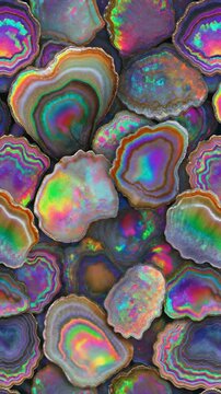 Iridescent Abalone Shell Rainbow Shimmer Seamless Loop