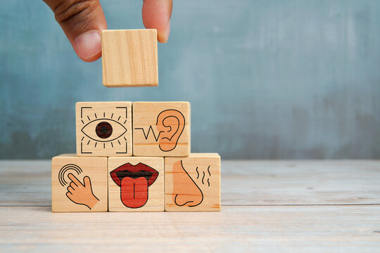 Sixth sense concept with wooden blocks showing five human senses and an extra cube representing intuition and perception.