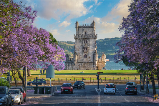Scenic view of Belem Tower in Lisbon highlighted by blooming jacaranda trees and sailboats on the Tagus River during sunset. Belem, Lisbon, Portugal