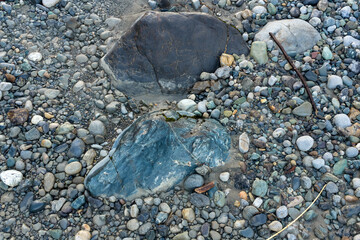 Colorful Pebble Beach With Large Rocks and Driftwood on a BC Canada Shoreline © edb3_16
