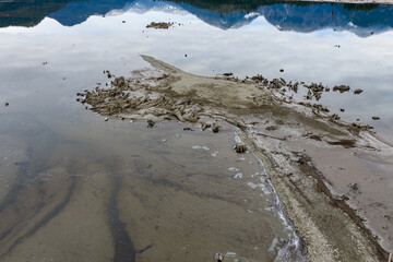 Low Water Lake Shore With Exposed Tree Stumps and Mountain Reflections in BC, Canada