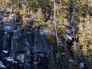 Snow-Dusted Rocky Cliff and Sunlit Evergreen Forest on a Rugged Hillside in BC, Canada