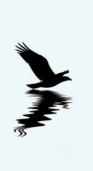 Obraz premium Silhouette of bird flying over water.