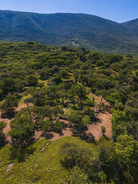 Aerial View of the Archeological Zone of Tancama near Jalpan de Serra, Mexico