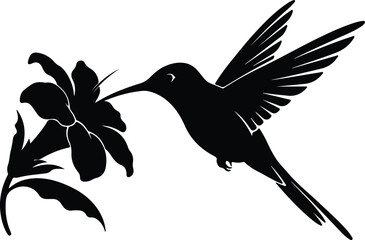 Vector hummingbird drinking nectar from flower silhouette design © Tamjida Alam