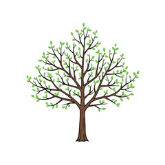 Naklejka premium Simple illustration of a tree with green leaves and brown branches.
