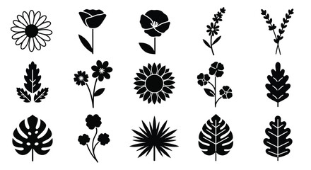 A collection of black and white illustrations of various flowers and plants © Mohammad