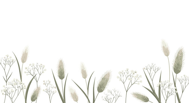 A decorative border of various tall, feathery grasses and small white flowers extends along the bottom edge of a clean white background.