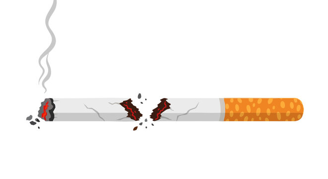 Broken lit cigarette with smoke vector illustration. Concept of quitting smoking, breaking addiction, and health choices on a white background.