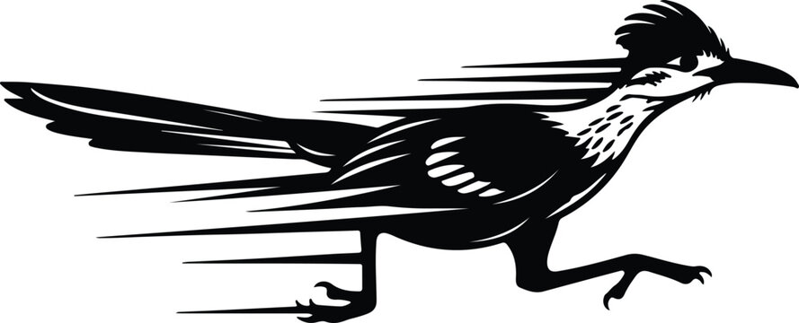 Vector fast running roadrunner bird mascot logo stylized silhouette design