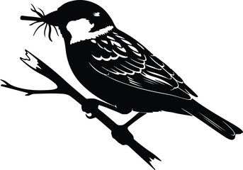 Obraz premium Vector sparrow bird holding nesting material on a branch silhouette design