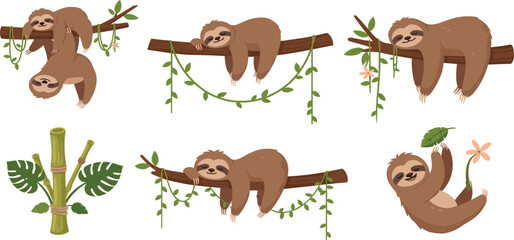 Fototapeta premium Cute Sloth on Tree Branch Collection with Bamboo and Tropical Leaves Adorable Jungle Animal Cartoon Vector Illustration Set
