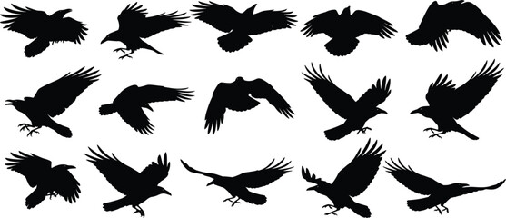Fototapeta premium Flying raven silhouette collection with black crow bird in different wing positions isolated flat vector illustration set