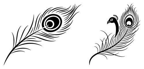 Obraz premium Peacock feathers with stylized bird head silhouette in black and white line art