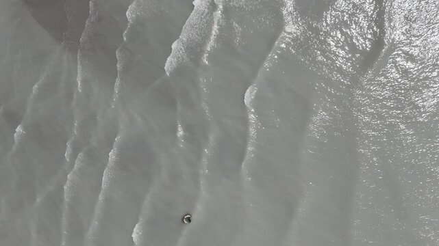Disturbed Waves Of Black Sea and Seagulls