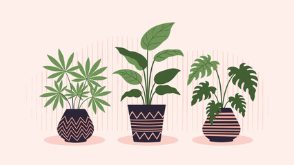 Obraz premium Three different indoor potted plants with green leaves in decorative pots with patterned designs on a soft background setting.
