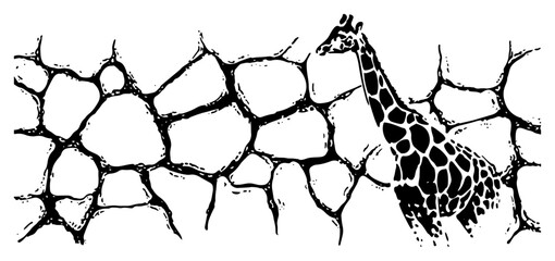 Detailed hand drawn giraffe illustration set against a cracked stone pattern background © AdrianGebert