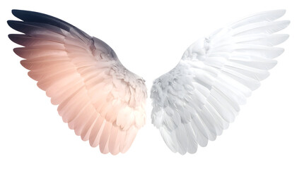 Naklejka premium Shadow to Light Transition Wings. Angel wings mockup isolated on transparent background