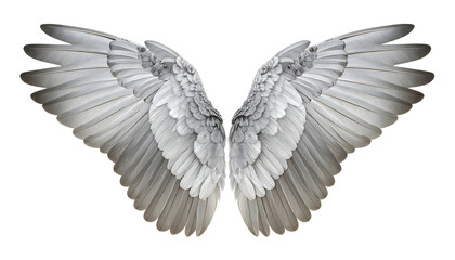 Resilience Steel-Edge Angel wings mockup isolated on transparent background