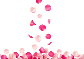 Ultra-realistic uhd photo of delicate pink rose petals, varying shades, gently falling across a transparent background with copy space, top-down view, captured mid-air, romantic beauty concept