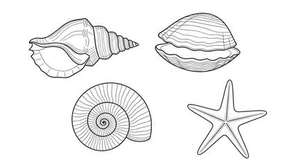 Obraz premium A set of ocean icons including seashells and a starfish in a minimalist line art style