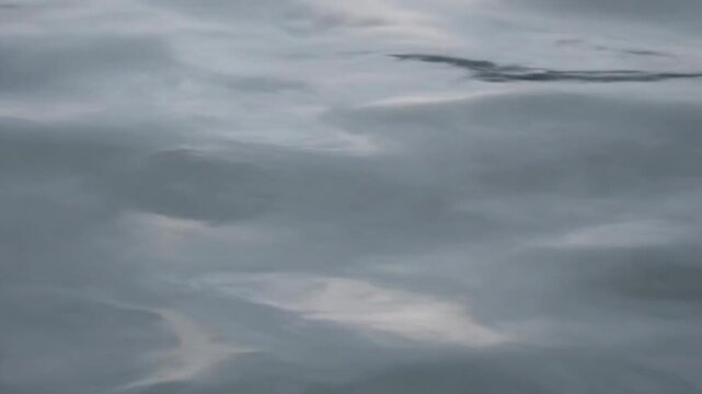 Gray Cloudy Sky with Clouds and Fog.