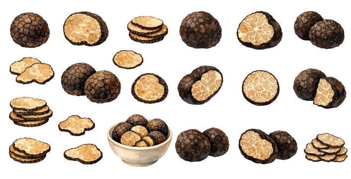 A charming watercolor collection of black truffles featuring whole truffles and sliced gourmet mushrooms illustrated in a luxurious culinary food style.
