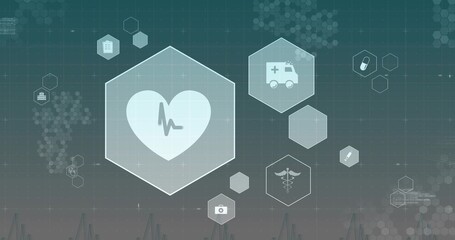 Showing clear hex heart panel featuring ECG on teal-gray dashboard with ambulance pill camera