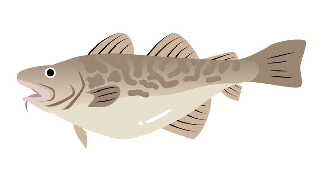 シンプルでかわいい鱈（タラ）のイラスト　食べ物・魚のベクター素材