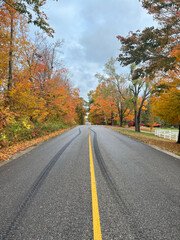 Fall Road