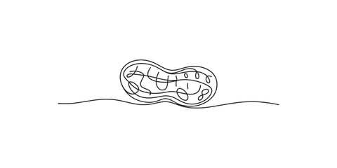 Continuous line drawing of a jellyfish with wavy lines and white background © SR