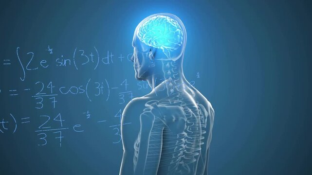Male model turning camera rotating formulas and graphs appearing around model lit brain for medical