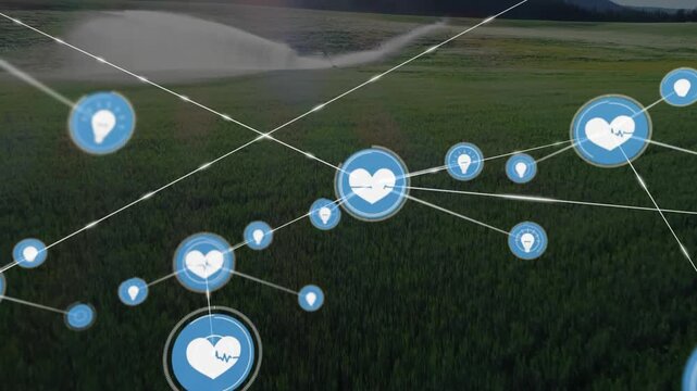Heart icon popping over crops, forming net linking hearts and bulb via thin lines, monitoring yield