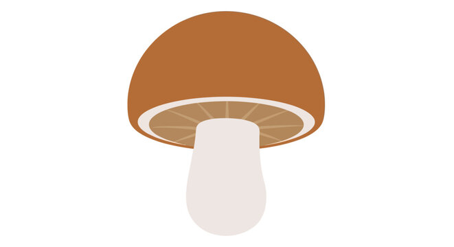 Brown Mushroom Fungi Illustration.