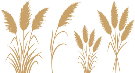 set of pampas grass silhouette design vector art illustration.
