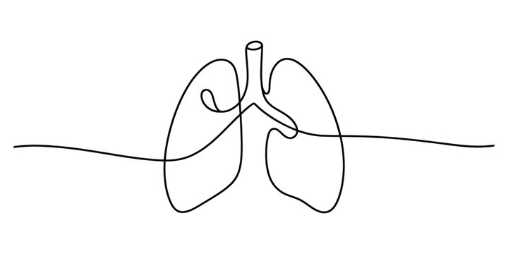 Minimalist continuous line drawing of human lungs and trachea on a white background Vector, illustration