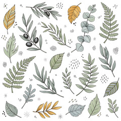 Fototapeta premium Collection of Various Botanical Leaves and Foliage.
