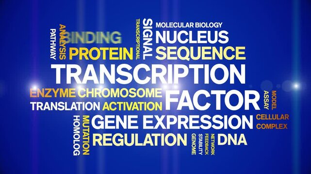 Transcription Factor animated word cloud-text design animation tag kinetic typography seamless loop.