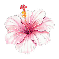 Watercolor pink hibiscus tropical botanical clipart isolated © Yekaterina Kashutina