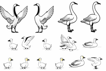 Four white geese depicted in various poses and stages of movement