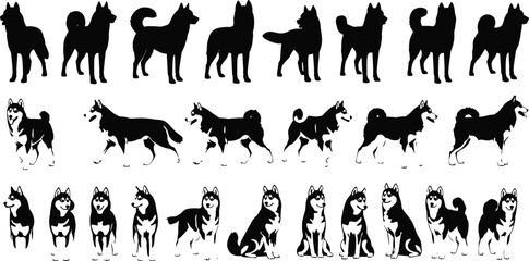 Siberian Husky Dog Silhouette Collection with Black and White Vector Illustrations of Standing Sitting and Walking Alaskan Malamute Sled Dogs © Abdul