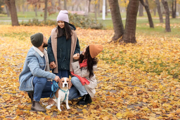 Fototapeta premium Cute Asian girl with her parents and Beagle dog in autumn park