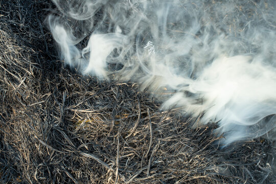 agricultural waste burning for biochar production. Traditional burning of rice husks for natural fertilizer, high angle view of charred agricultural husks and smoke, farming ecology and soil health